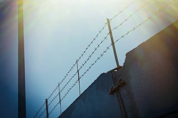 Fil barbelé sur une clôture en béton gris — Photo