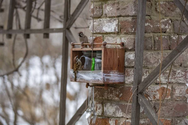 Mangeoire pour oiseaux dans le parc — Photo