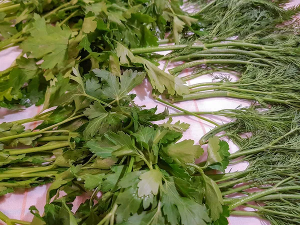 Cachos Recém Colhidos Endro Verde Salsa São Secos Cozinha Para — Fotografia de Stock