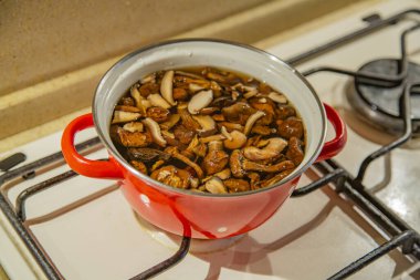 Lezzetli mantar çorbası pişirmek için doğal sebze malzemeleri.