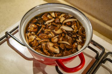 Lezzetli mantar çorbası pişirmek için doğal sebze malzemeleri.