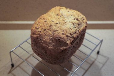 Ev yapımı taze pişmiş ekmek ve lezzetli çıtır çıtır.