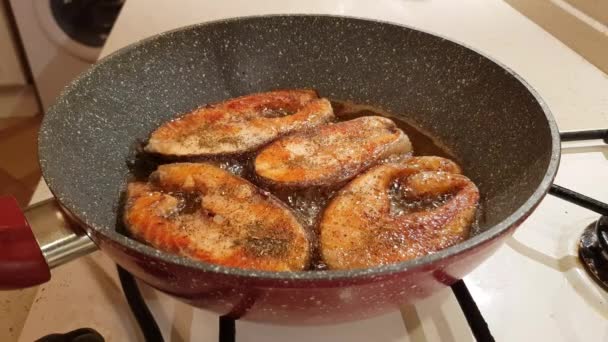 A steak of delicious fish varieties is fried in a frying pan on a kitchen gas stove — Stock Footage Steak Delicious Fish Varieties Fried Frying Pan Kitchen Gas Stove Stock Video