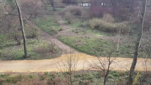 Snöfall Stadsparken Början Varm Maj — Stockvideo