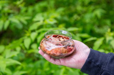 Odayı tatlandırmak için doğal bitkilerle dolu cam vazo ve kuru bitkiler.