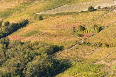 İtalyan tepe bölgesinde sonbahar renkleri Langhe denilen