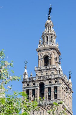 Giralda Kulesi şehir Seville, İspanya ünlü bir dönüm noktası olduğunu