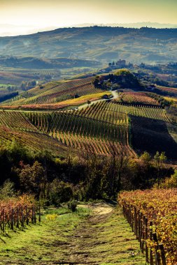 Langhe renkli şarap ile Kuzey İtalya bölgesi sonbahar denilen