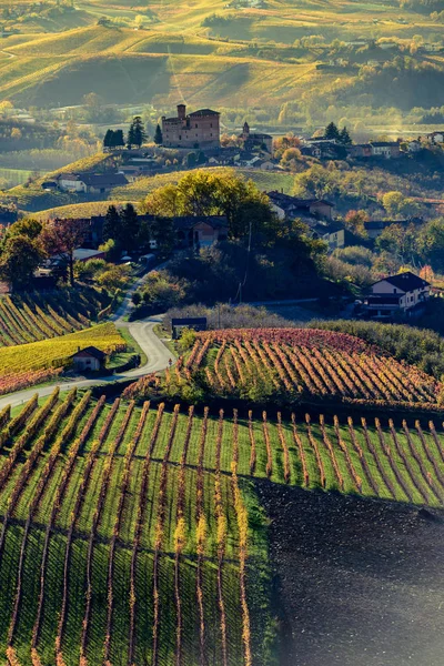 Осень в северной Италии называется langhe с красочным вином — стоковое фото