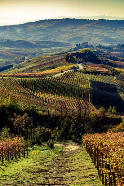 Outono na região de itália do norte chamado langhe com vinho colorido — Fotografia de Stock