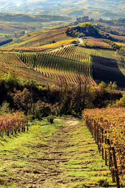 Autunno nella regione del nord Italia chiamato langhe con vino colorato — Foto Stock