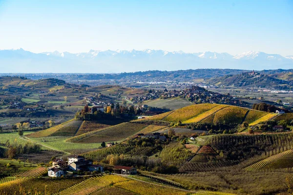Otoño en la región norte de Italia llamado langhe con vino colorido —  Fotos de Stock