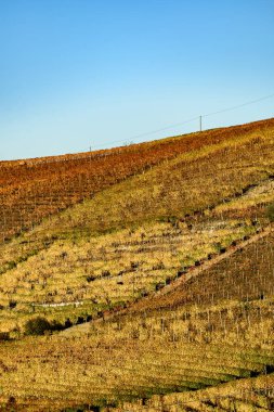 Langhe renkli şarap ile Kuzey İtalya bölgesi sonbahar denilen