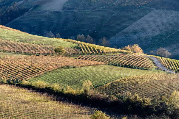 Hösten i norra Italien regionen kallas langhe med färgglada vin — Stockfoto