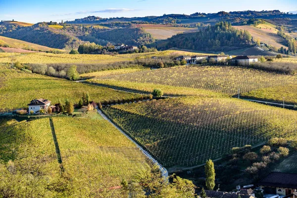 Otoño en la región norte de Italia llamado langhe con vino colorido — Foto de Stock