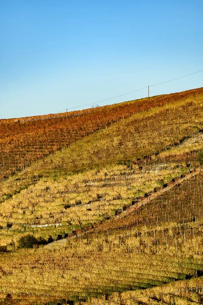 イタリア北部の秋にカラフルなワインとランゲと呼ばれる — ストック写真