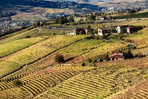 Outono na região de itália do norte chamado langhe com vinho colorido — Fotografia de Stock