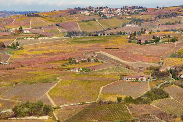 Otoño en la región norte de Italia llamado langhe con vino colorido —  Fotos de Stock