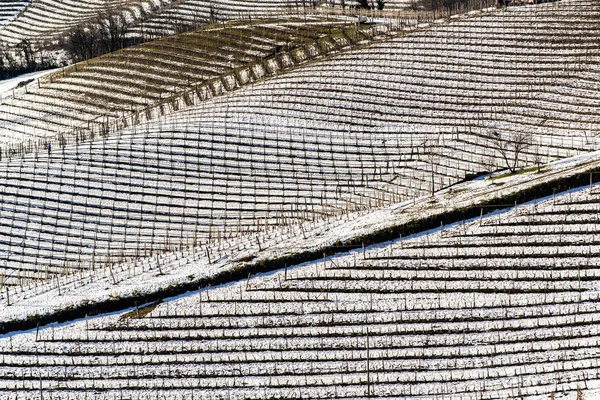 Colinas vinícolas sob neve na região de Langhe, na Itália — Fotografia de Stock