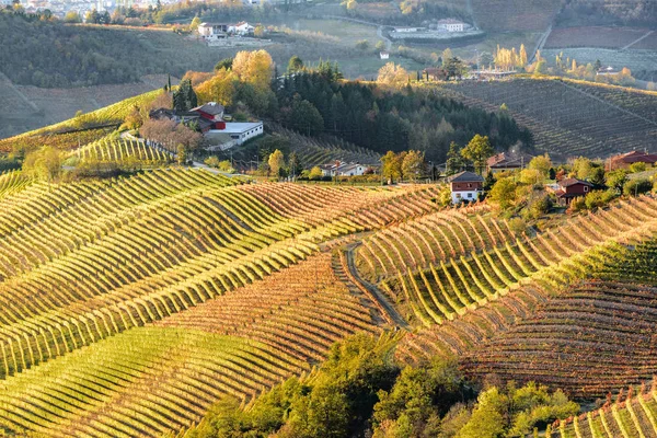 Hösten i norra Italien regionen kallas langhe med färgglada vin — Stockfoto