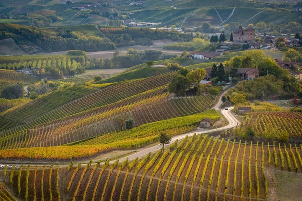 Viñedos en la región de Langhe del norte de Italia en otoño con lleno — Foto de Stock