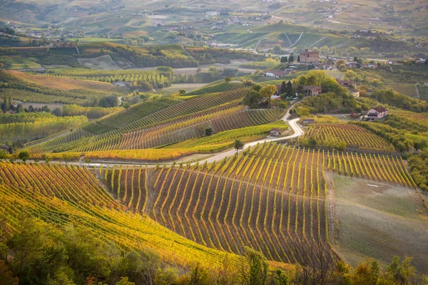 Viñedos en la región de Langhe del norte de Italia en otoño con lleno —  Fotos de Stock