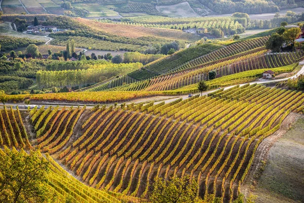 Viñedos en la región de Langhe del norte de Italia en otoño con lleno —  Fotos de Stock