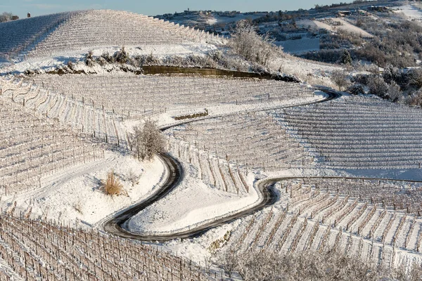 Vingårdarna i Langhe-regionen, norra Italien, under snö Royaltyfria Stockfoton