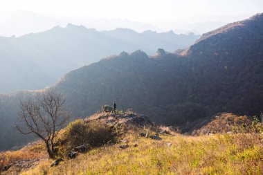 Sunrise. Climbing, beautiful view of the mountains. A woman and two dogs are nearby.