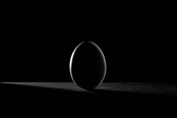The contour of the eggs on a black background. — Stockfoto