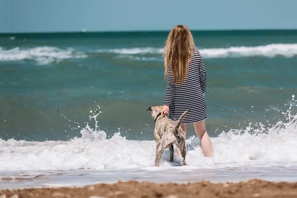 Woman and dog on a background of the sea. — Stock fotografie