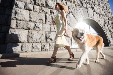 Güzel bir kadın tasmalı büyük bir köpekle şehirde yürüyor..