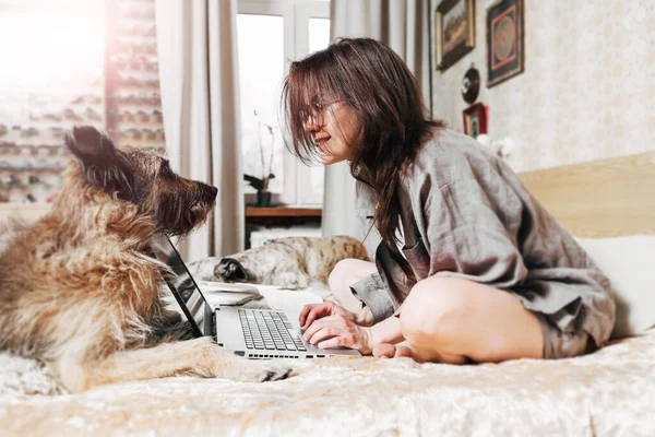Evden uzak bir iş. Genç kadın köpek ve dizüstü bilgisayarın yanında..