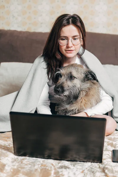 Genç bir kadın yatakta oturur köpeğe sarılır ve dizüstü bilgisayarda çalışır..