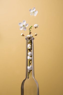 Sarı arka planda şişe ve çiçek açan dal..