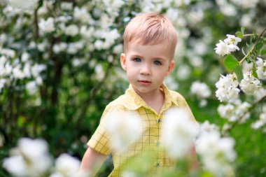 Bahçede beyaz çiçekli şirin bir çocuk. Bahar alerjisi