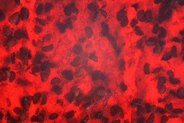 Ahududu reçeli dokusu, yemek temalı arka plan, pastila. Şeker kavramı yok.