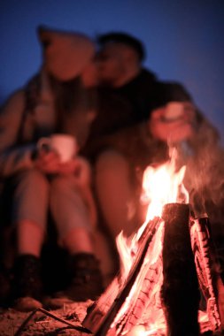 Ormanda kış pikniği. Kış sisli ormanlarında aşk hikayesi. Sevgililer günü konsepti. Ormanda bulutlu, sisli bir gün. Mesaj için yer. Marşmelovları kazıkta kızart. Soğuk havada, ateşin yanında sıcak çay içmek.