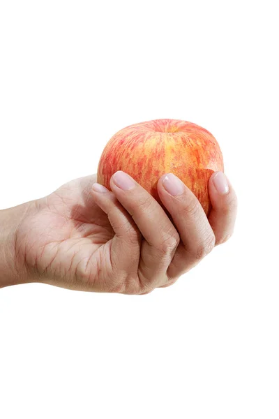 Mãos segurar maçã isolada no fundo branco . — Fotografia de Stock