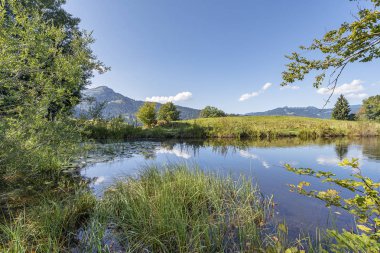 Oberstdorf 'ta Bavyera manzaralı Moorweiher' a yakın çekim / Germnay