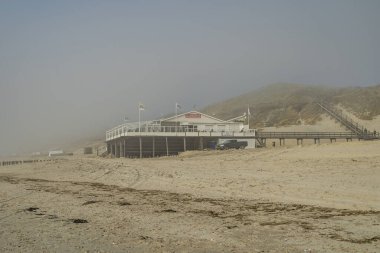 Zoutelande - Sisli bir günde tepelik çim tepelerine bakın, Zeeland, Hollanda, 22.03.2019