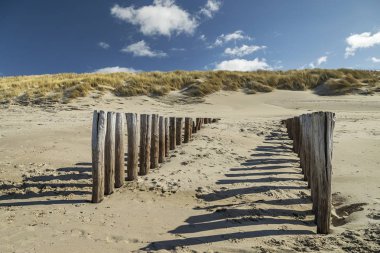 Domburg - Domburg Plajı / Hollanda 'daki Çimen Kumullarına Bakış