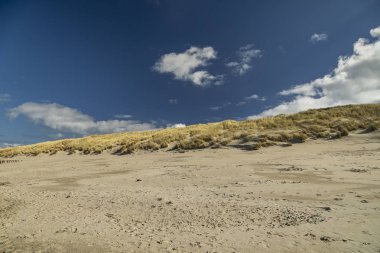 Domburg - Domburg Plajı / Hollanda 'daki Çimen Kumullarına Bakış