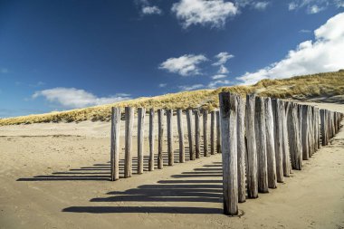 Domburg - Güneşli bir günde / Hollanda 'da Kereste Yığınlarına Yakın Çekim