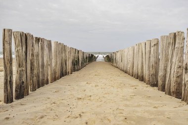 Domburg - Bulutlu bir günde / Hollanda 'da kereste yığınlarına yakın çekim