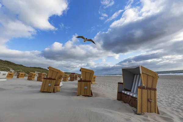 Sylt View Wenningstedt Beach Seagull Passing Schleswig Holstein Germany 2015 — Stock Photo, Image