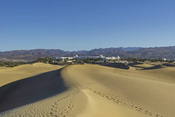 Büyük Kanarya Sand Dunes Dan Maspalomas Spanya Daki Otel Doğru — Stok fotoğraf