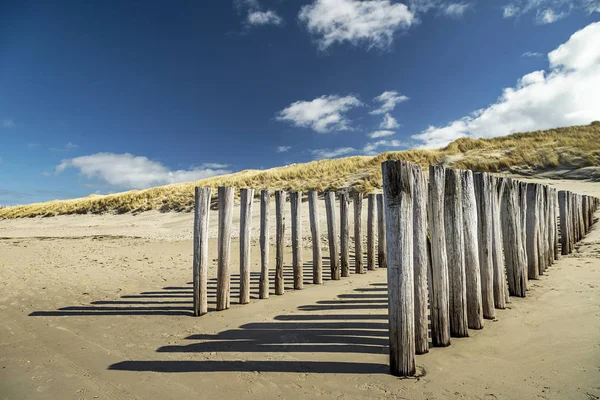 Domburg - Güneşli bir günde / Hollanda 'da Kereste Yığınlarına Yakın Çekim