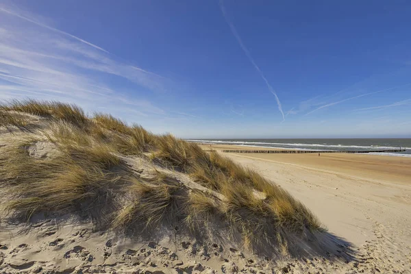 Domburg 寒い日にビーチを見る オランダ — ストック写真