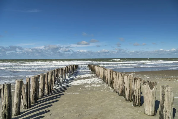 Domburg - Beachat 'a Bakış Sert Rüzgar / Hollanda ile soğuk bir gün